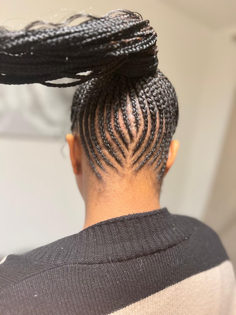 Adult - Updo Cornrows Hairstyle
